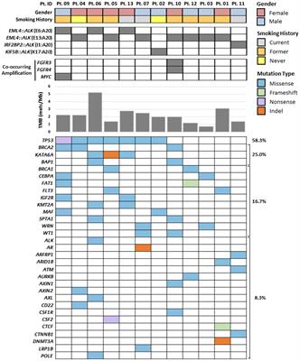 Comprehensive NGS profiling to enable detection of ALK gene rearrangements and MET amplifications in non-small cell lung cancer